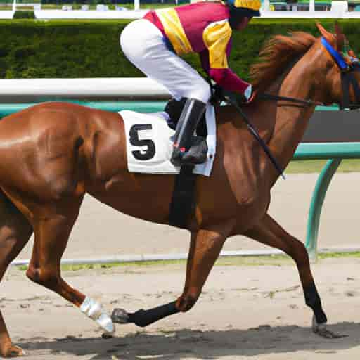 Un jockey PMU monte son cheval lors d'une course.