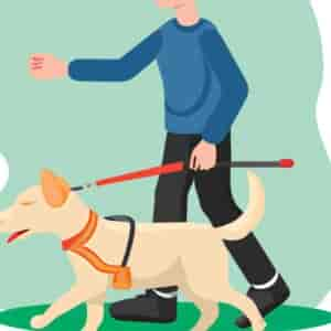 Association Chien Guide D'aveugle