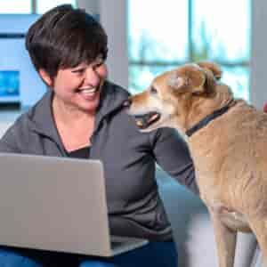 Assurance Pour Chien Comparatif