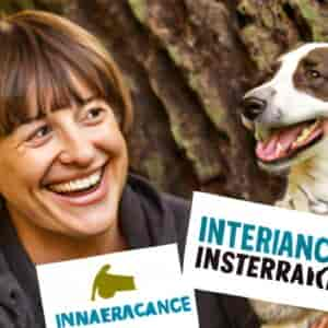 Assurance Santé Chien Comparatif