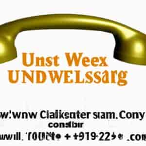 Comment Annuler Un Western Union