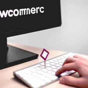 Comment Mettre Woocommerce En Français