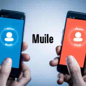 Comparatif Mutuelle En Ligne