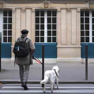 Ecole De Chiens Guides De Paris