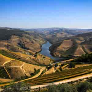 Get Your Guide Douro Valley Tour