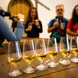 Get Your Guide Porto Wine Tour