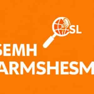 Guide Semrush