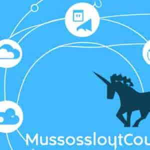 Mulesoft C Est Quoi