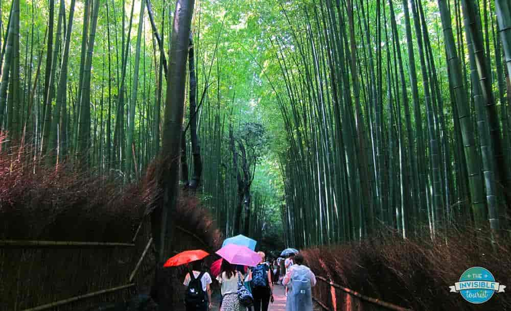 Bosquet de bambous d'Arashiyama