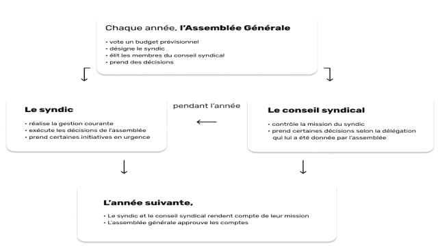 Schéma Assemblée Générale et Rôles