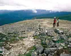 Mont Jacques-Cartier, Parc de la Gaspésie