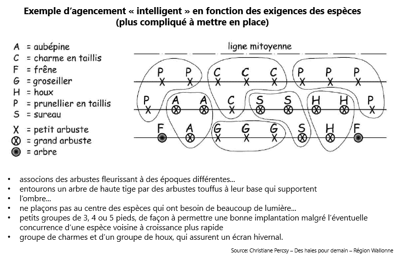 Plan de plantation intelligent