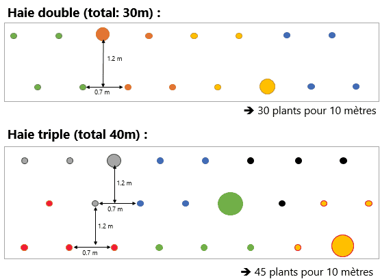 Plan de plantation