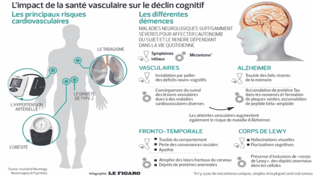 Infographie représentant l'impact de la santé vasculaire sur le déclin cognitif