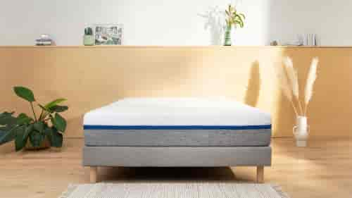 matelas puces lit