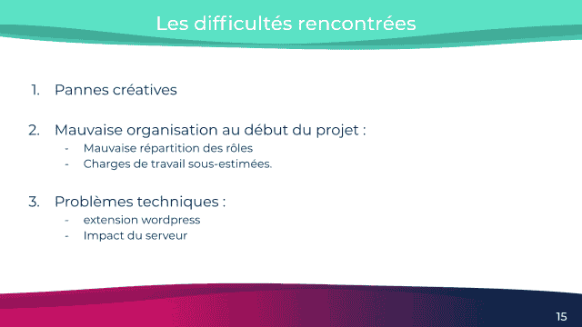 Exemple d'un webinar "retour d'expérience" Plezi