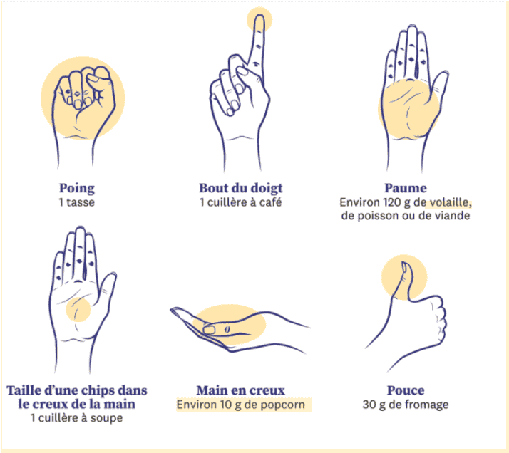 Les bonnes portions alimentaires par repas