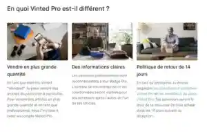 Vinted Professionnel : Comment devenir Vendeur Pro sur Vinted