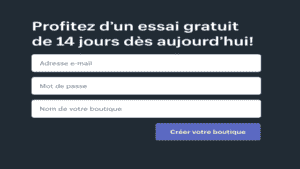 Shopify Dropshipping 2022 : ouvrir une boutique en ligne