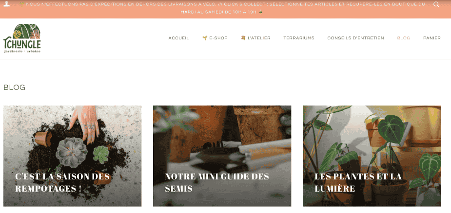 Exemple de blog e-commerce