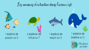 Préserver les océans grâce à des gestes simples du quotidien