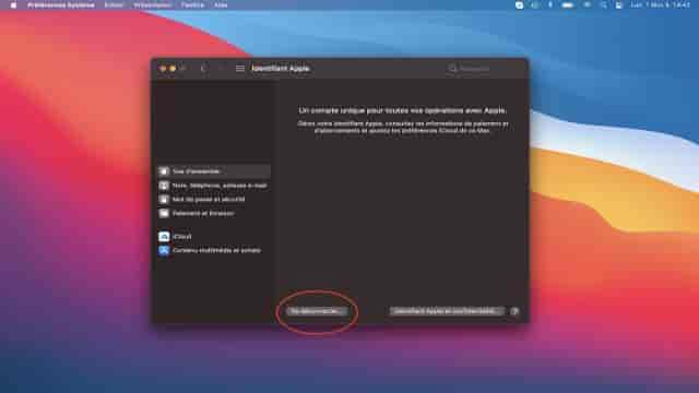Enlever son compte iCloud sur macOS Big Sur