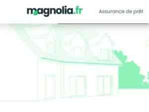 Quels sont les avantages de Magnolia.fr ? Pourquoi recourir aux services d’un courtier en assurance emprunteur ?