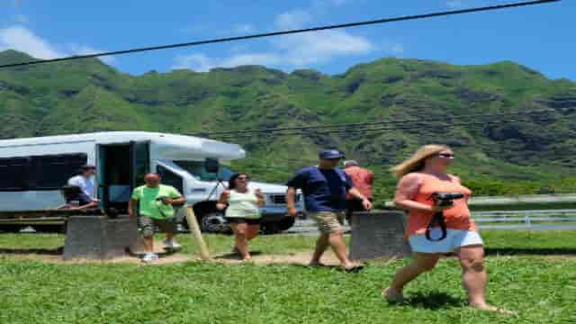 tourists exploring with go hawaii tours