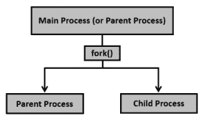 Process Creation & Termination