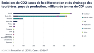 Pourquoi et comment lutter contre la déforestation ?