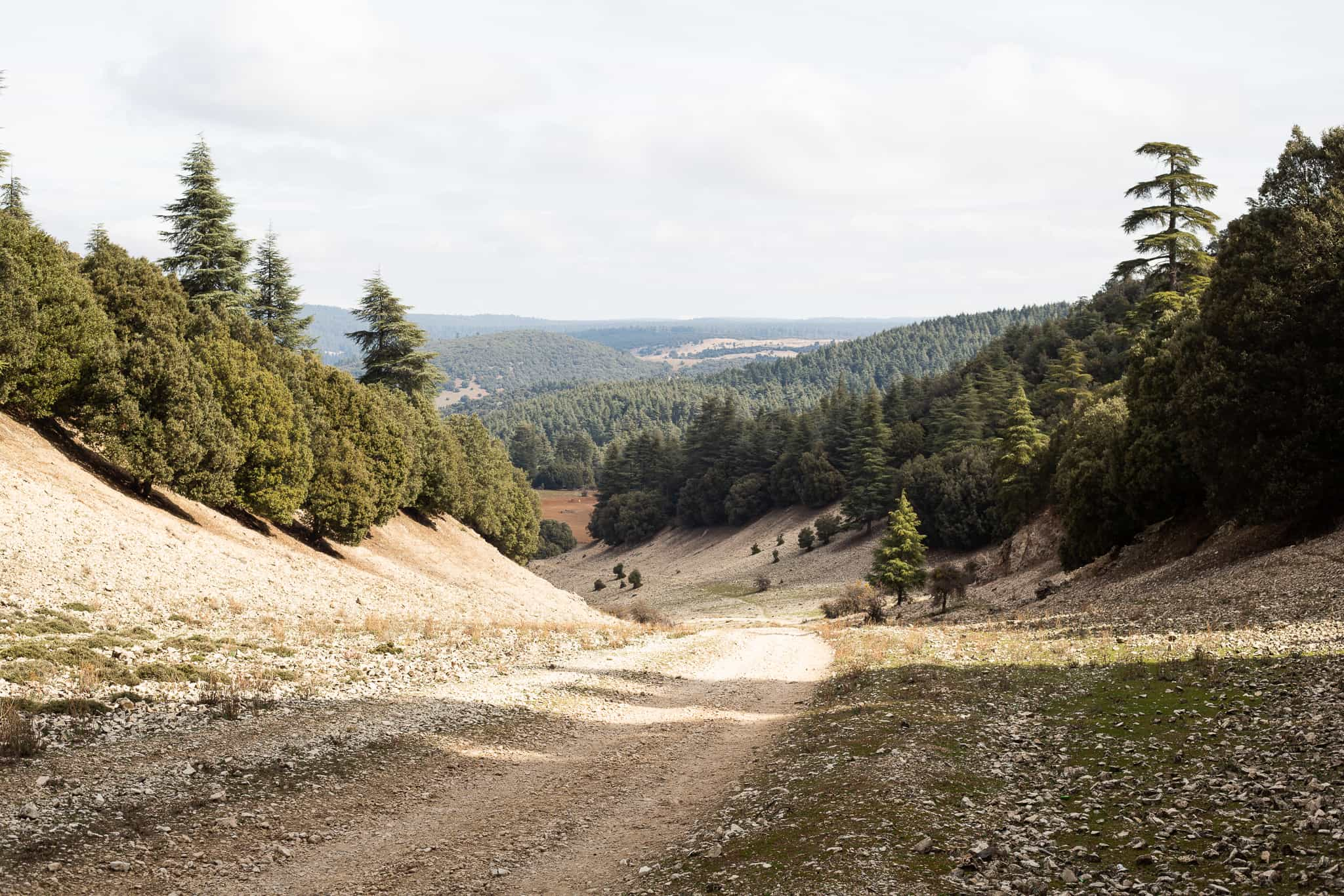 Route Touristique Des Cèdres