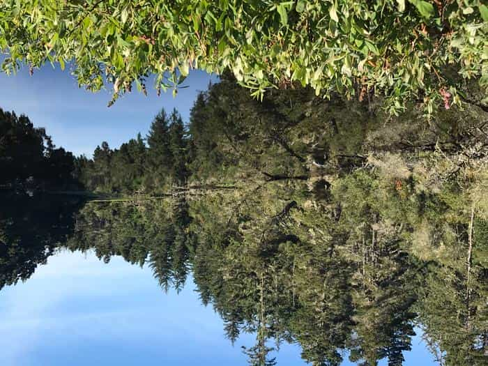 Conifer trees reflected on still lake under blue sky.LAGOON CAMPGROUND