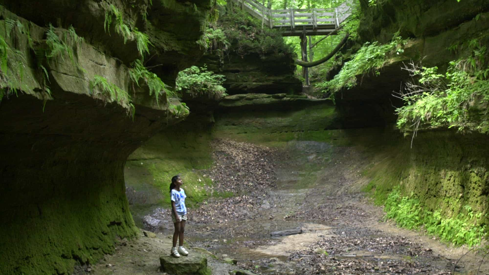 Shades State Park