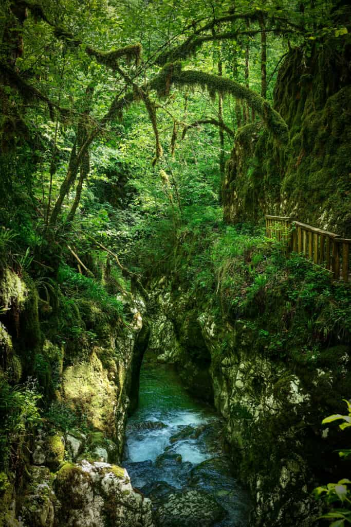 Gorges de l'Abime