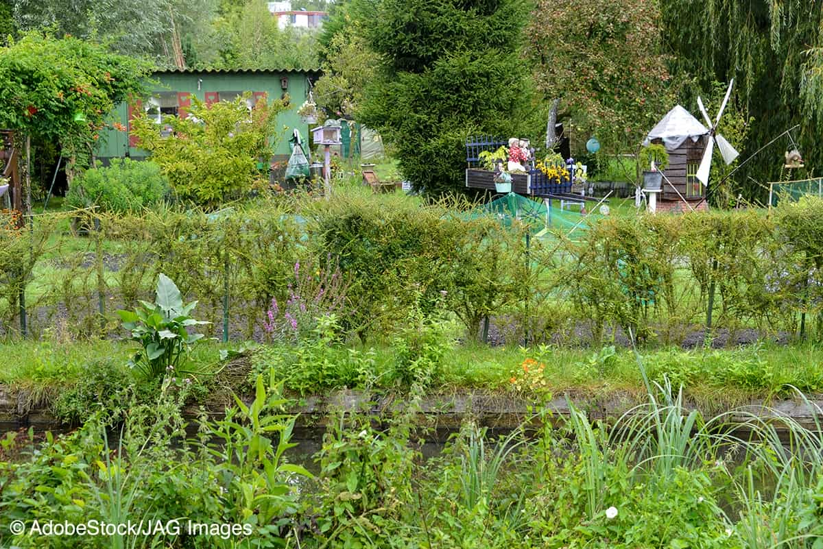 Ile aux fagots, Hortillonages, Amiens, Somme, 80, région de Picardie