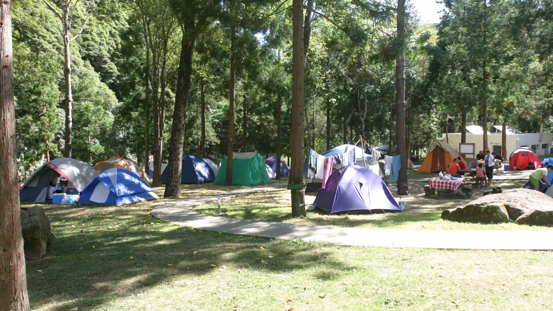 The Best Camping Spots on São Miguel island.