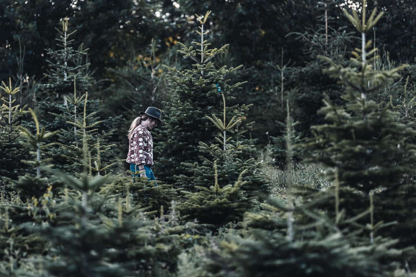 Campsites in the Belgian Ardennes