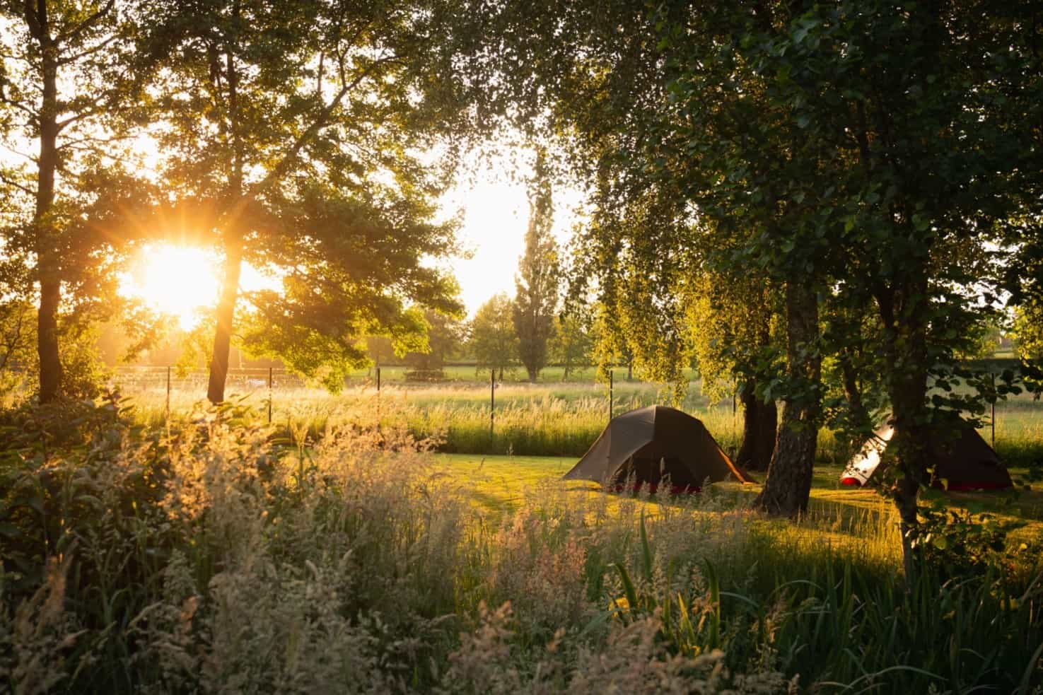 Les meilleurs mini-campings de Belgique