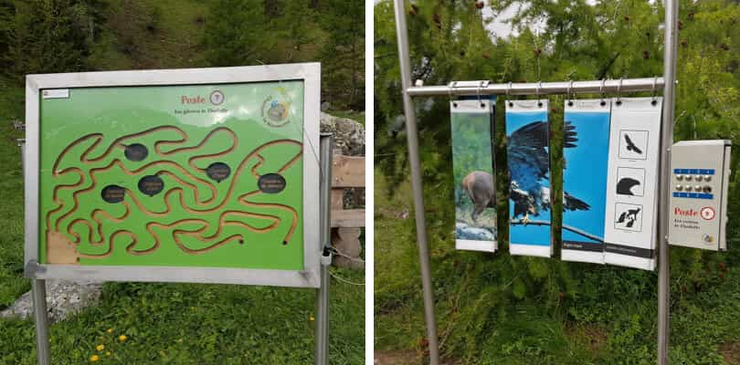 Activités sur le sentier de la marmotte