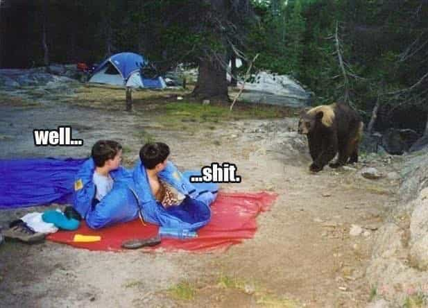 Meme de camping enfants qui se réveillent face à un ours