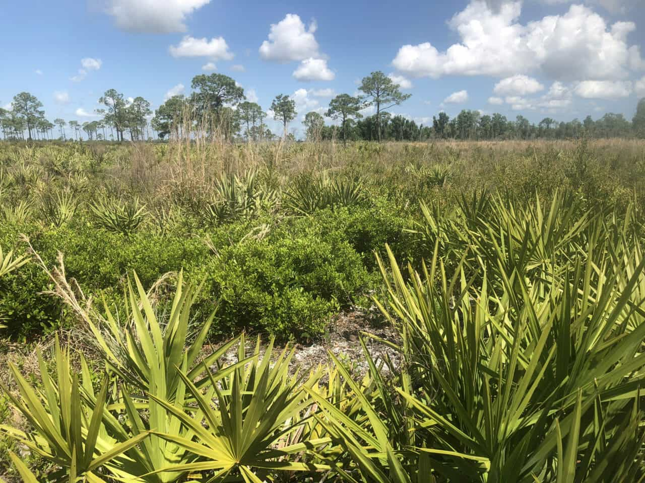 St. Sebastian River Preserve State Park