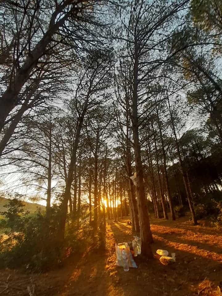 Ghabet El Bondek, Beni Khiar, Nabel, Tunisie