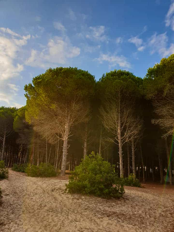 Cap Serrat, Bizerte, Tunisie