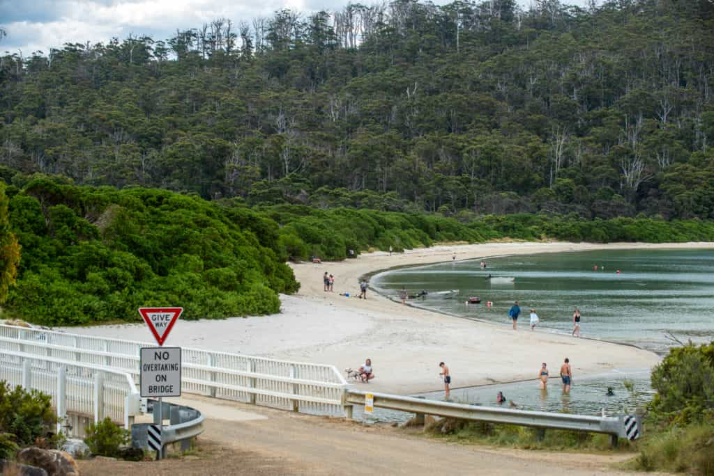 Cockle Creek