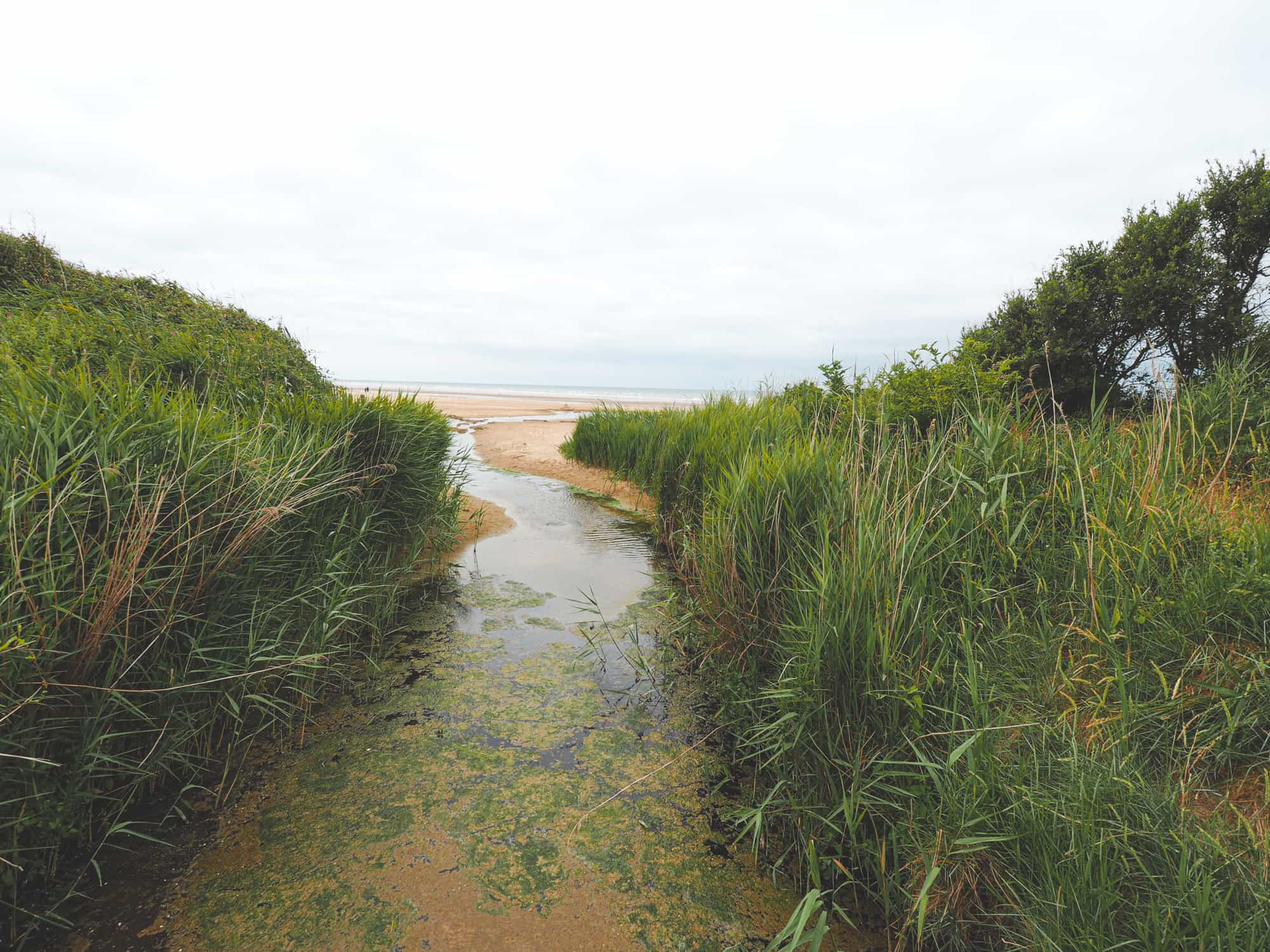 Visiter la côte d'Opale