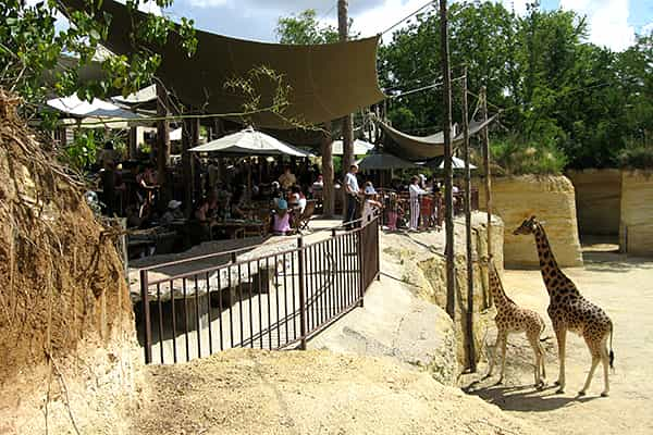 Bioparc à Doué-la-Fontaine