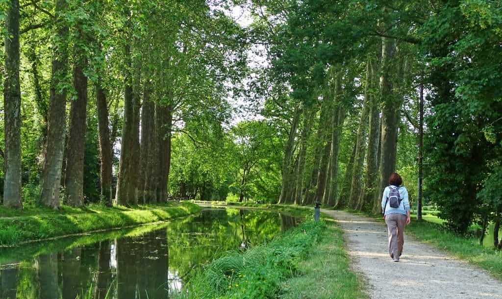 Promenade le long du canal à Mehun-sur-Yèvre, France