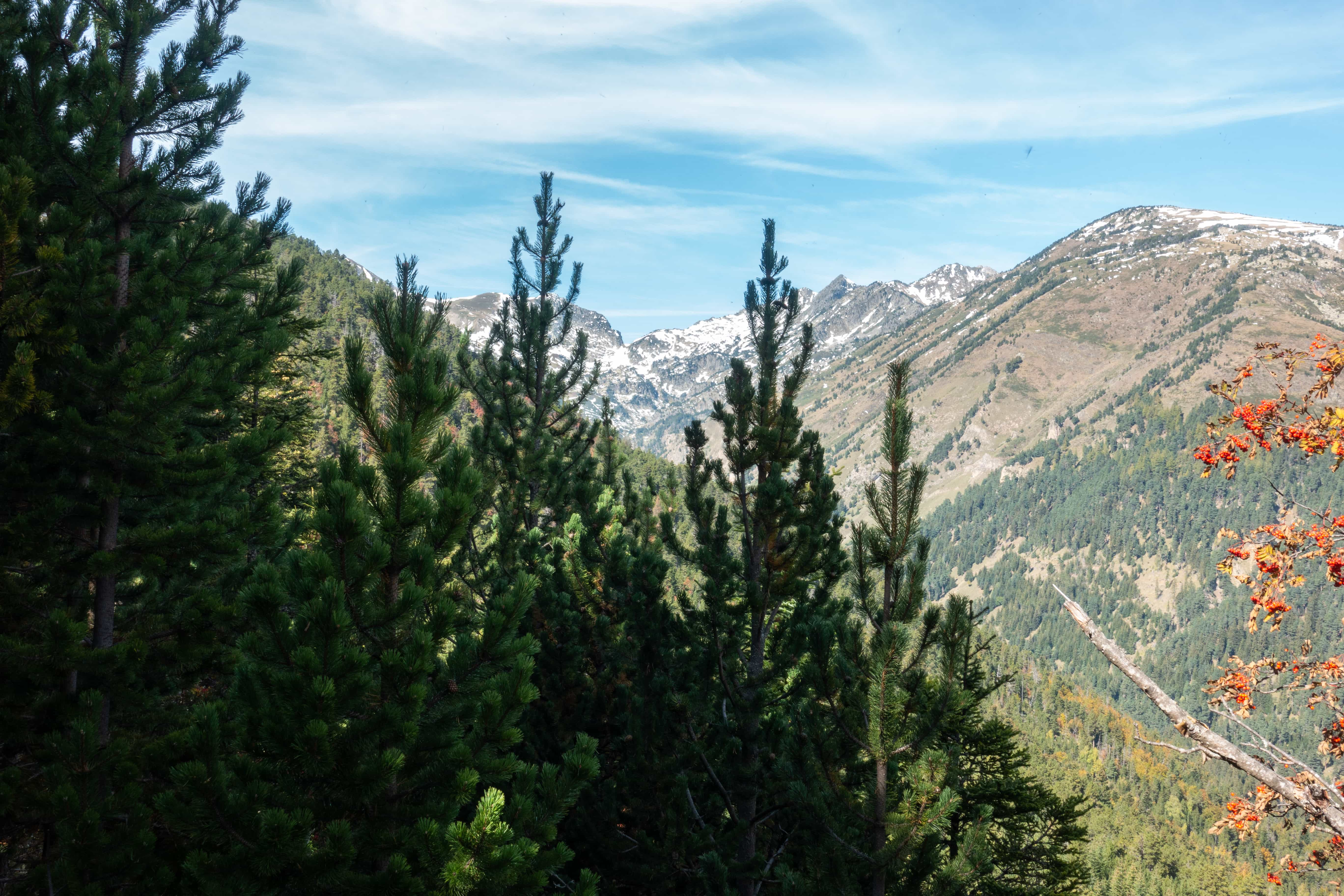 La descente pittoresque