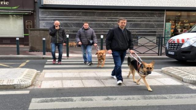 Rencontre à l’école de chiens-guides pour aveugles et malvoyants de Paris