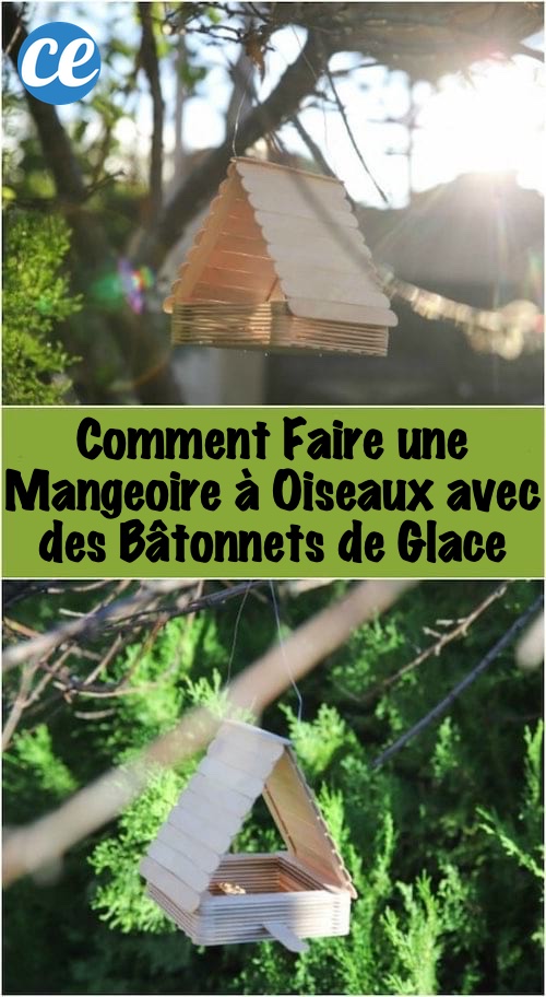 23 Mangeoires Faciles à Fabriquer Pour Nourrir les Oiseaux en Hiver.